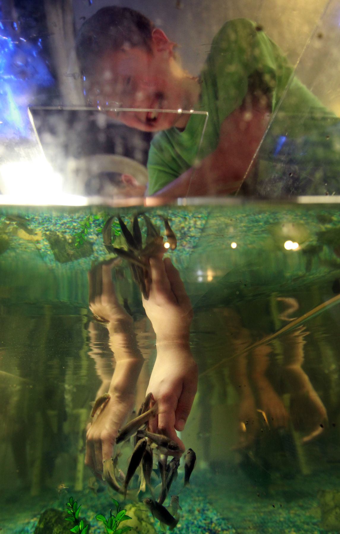 Fish nibble on hand of guest at City Museum